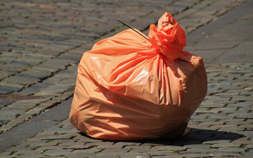 Should You Rent a Dumpster to Declutter Your House?