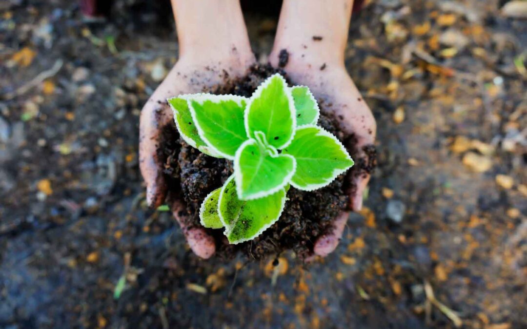 Providing Environmental Services to North Carolina