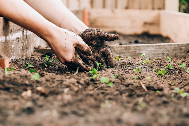 Interesting Ways to Improve Your Yard for Spring 2022