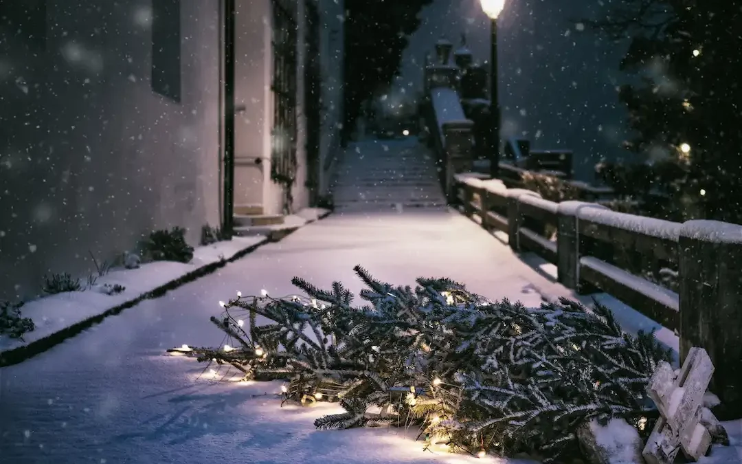 How to Recycle Christmas Trees