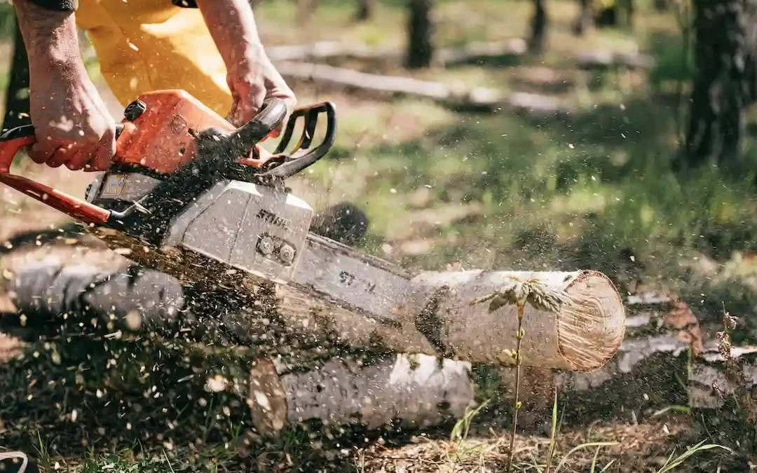 Hurricane Cleanup Tips for North Carolina Homeowners