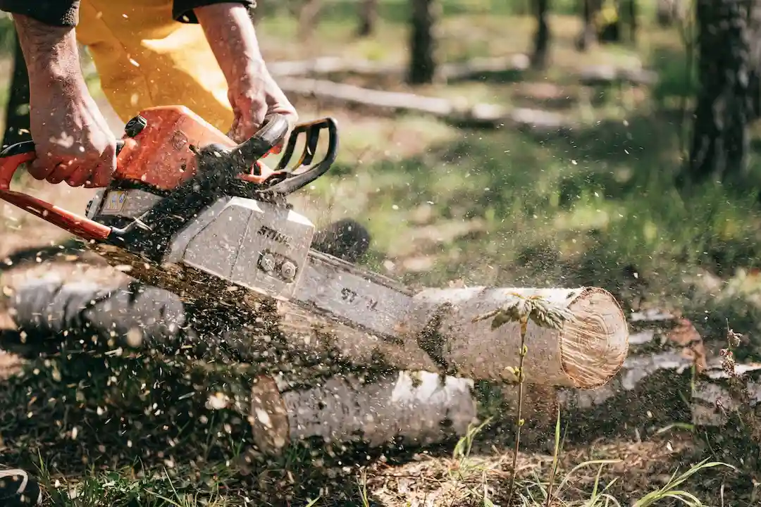 hurricane-cleanup-north-carolina Hurricane Cleanup Tips for North Carolina Homeowners
